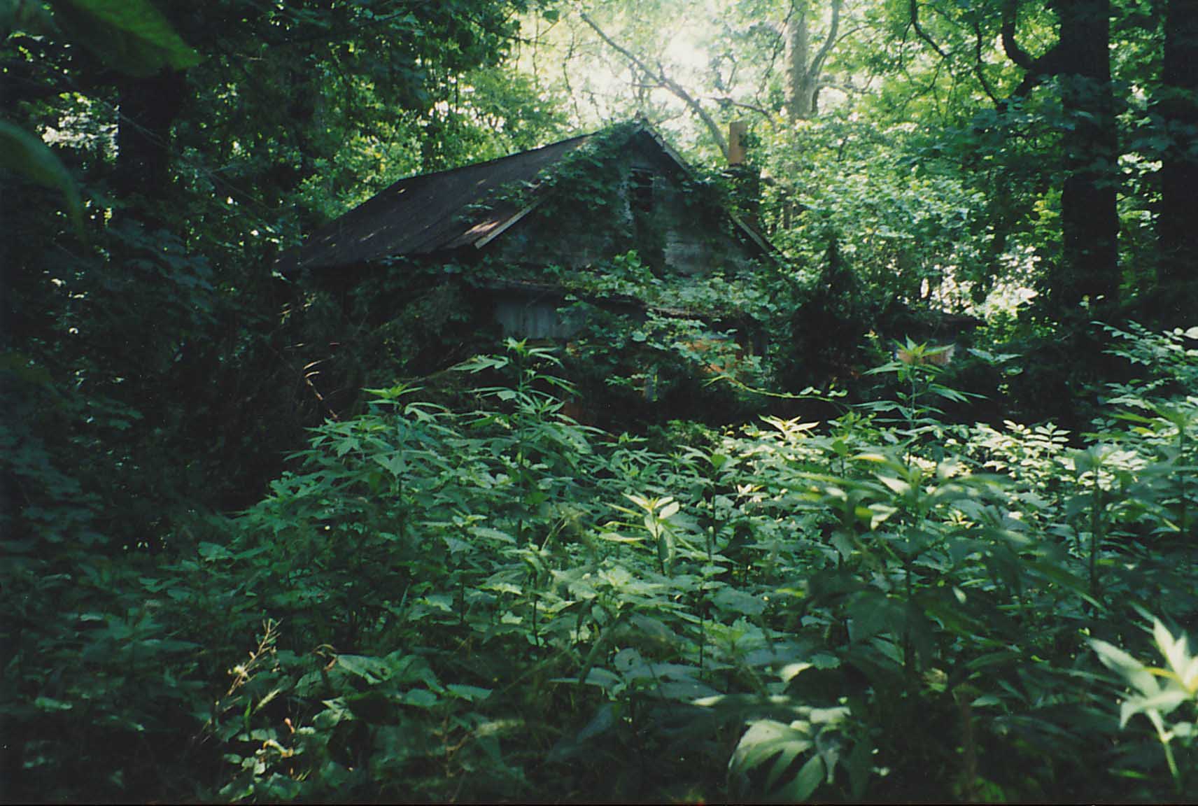 The cabin, 1998