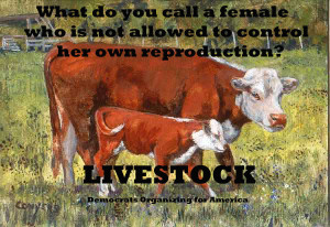livestock
